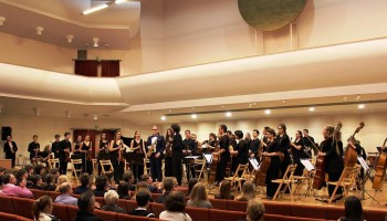 zpsm_maturzysci2017_11